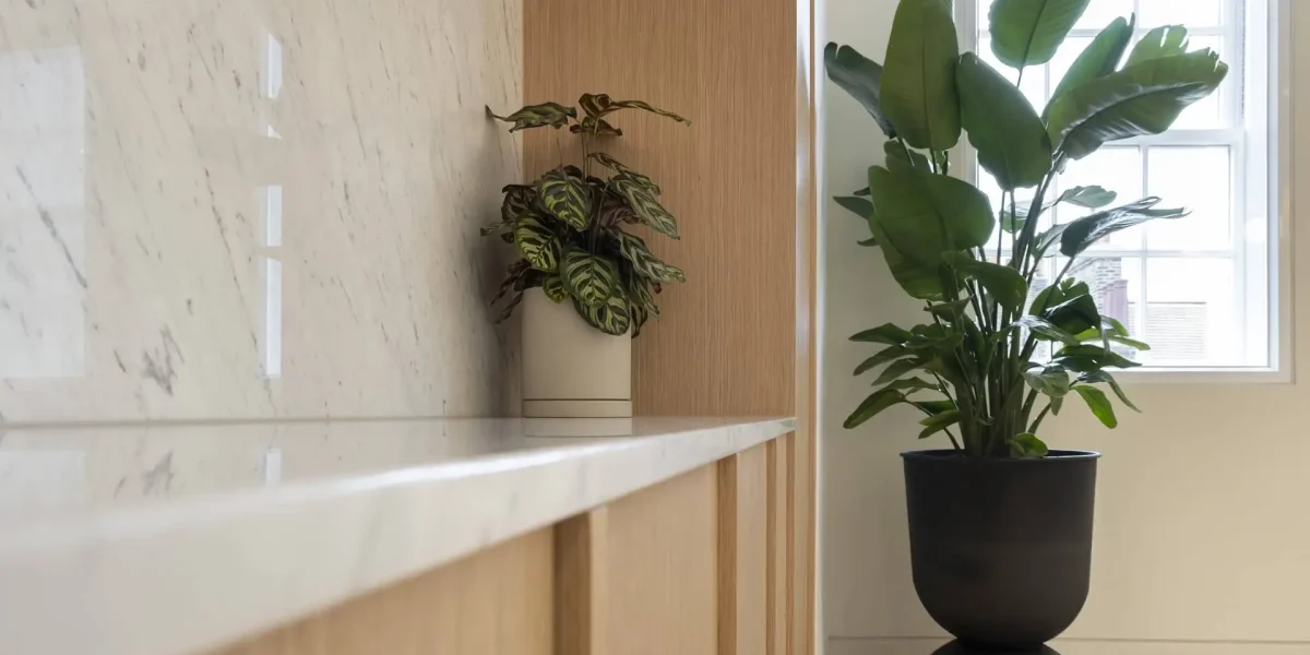 21 Sackville Street_Internal_Aug24 (38)